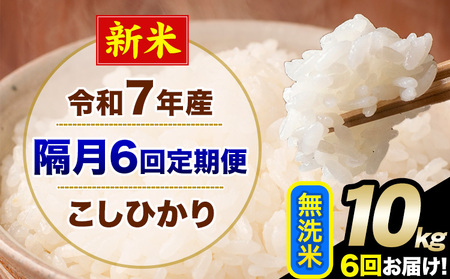 �V�� �ߘa7�N�Y �y�u��6�����ցz �����Ђ��� 10kg ������ �F�{���Y(�숢�h���Y�܂�) �P�ꌴ���� �숢�h�� �Y �� ����ցs���\�����̗�������o�׊J�n�t