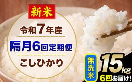 �V�� �ߘa7�N�Y �y�u��6�����ցz �����Ђ��� 15kg ������ �F�{���Y(�숢�h���Y�܂�) �P�ꌴ���� �숢�h�� �Y �� ����ցs���\�����̗�������o�׊J�n�t