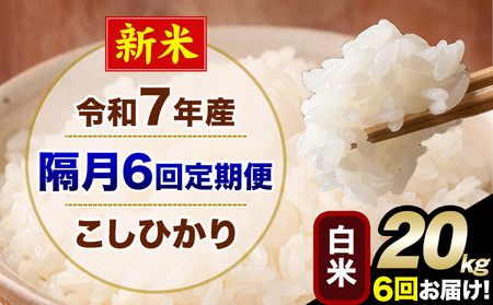 �V�� �ߘa7�N�Y �y�u��6�����ցz �����Ђ��� 20kg ���� ���� �F�{���Y(�숢�h���Y�܂�) �P�ꌴ���� �숢�h�� �Y �� ����ցs���\�����̗�������o�׊J�n�t