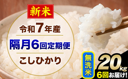 �V�� �ߘa7�N�Y �y�u��6�����ցz �����Ђ��� 20kg ������ �F�{���Y(�숢�h���Y�܂�) �P�ꌴ���� �숢�h�� �Y �� ����ցs���\�����̗�������o�׊J�n�t