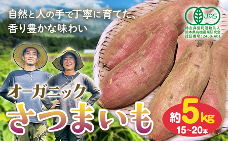 有機JAS認定 オーガニック さつまいも 5kg 農園ベルの樹[12月上旬-3月下旬頃出荷]熊本県 南阿蘇村 さつまいも オーガニック 有機栽培 薩摩芋