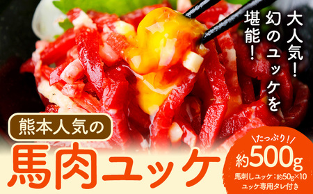 馬刺し 熊本 人気の 馬肉ユッケ たっぷり 500g 株式会社利他フーズ《30日以内に出荷予定(土日祝除く)》 ユッケ 海外産 国内肥育 冷凍 生食用 肉 馬肉 ふるさと納税馬刺し 熊本県 南阿蘇村 送料無料 馬刺 ばさし 名物