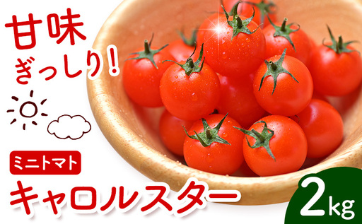 ミニトマト キャロルスター 約2kg ますだふぁーむ[7月上旬-11月末頃出荷]熊本県 南阿蘇村 キャロルスター 野菜 旬 夏野菜 トマト