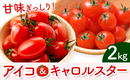 ミニトマト アイコ&キャロルスター 約2kg ますだふぁーむ[7月上旬-11月末頃出荷]熊本県 南阿蘇村 アイコトマト キャロルスター 野菜 旬 夏野菜 トマト