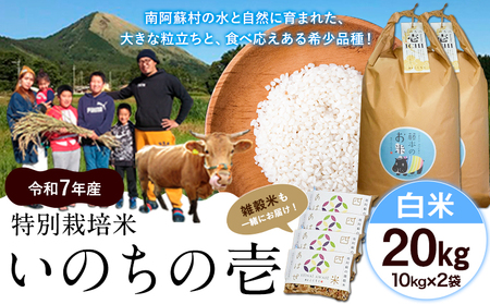 V ߘa7NY ʍ͔| ̂̈() 20kg(10kg×2) Gĕts10{-11{oׁt F{ 숢h F{Y F̂  G