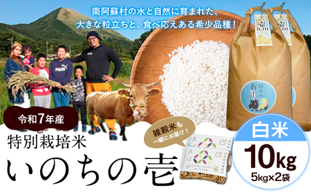 V ߘa7NY ʍ͔| ̂̈() 10kg(5kg×2) Gĕts10{-11{oׁt F{ 숢h F{Y F̂  G