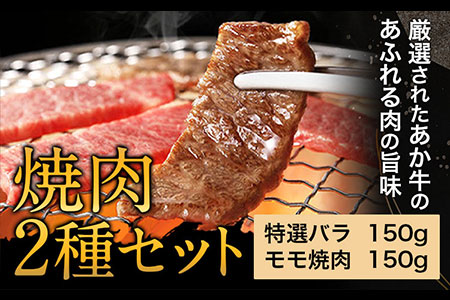 あか牛 焼肉2種セット あか牛の館 [60日以内に出荷予定(土日祝除く)]焼肉 モモ バラ 熊本県 南阿蘇村
