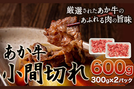  Ԑ؂ 600g (300g×2pbN) ̊فs60ȓɏoח\(yj)t̊ F{ 숢h