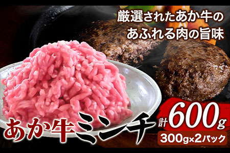  ~`600g (300g×2pbN) ̊فs60ȓɏoח\(yj)t̊ F{ 숢h