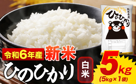 令和6年産新米 早期先行予約受付中 白米 ひのひかり 5kg[11月-12月より出荷予定(土日祝を除く)]令和6年産 熊本県産 ふるさと納税 白米 精米 ひの 米 こめ ふるさとのうぜい ヒノヒカリ コメ お米 おこめ