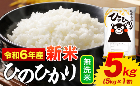 令和6年産新米 早期先行予約受付中 無洗米 ひのひかり 5kg[11月-12月より出荷予定(土日祝を除く)]令和6年産 熊本県産 ふるさと納税 無洗米 精米 ひの 米 こめ ふるさとのうぜい ヒノヒカリ コメ お米 おこめ