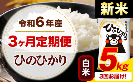 [3ヶ月定期便]令和6年産 新米 白米 早期先行予約受付中 ひのひかり 定期便 5kg[申込み翌月から発送]令和6年産 熊本県産 ふるさと納税 精米 ひの 米 こめ ふるさとのうぜい ヒノヒカリ コメ お米