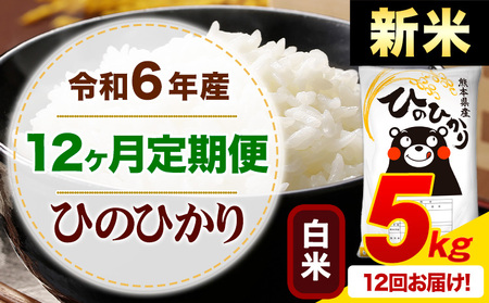 [12ヶ月定期便]令和6年産 新米 白米 早期先行予約受付中 ひのひかり 定期便 5kg[申込み翌月から発送]令和6年産 熊本県産 ふるさと納税 精米 ひの 米 こめ ふるさとのうぜい ヒノヒカリ コメ お米