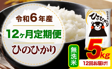 [12ヶ月定期便]令和6年産 無洗米 ひのひかり 定期便 5kg|米定期米定期米定期
