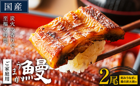 うなぎ ご家庭用 2尾 (刻みうなぎ1袋&鶏の炭火焼1袋付き)国産 鰻 真空パック おすすめ の蒲焼 [30日以内に出荷予定(土日祝除く)] 有頭 ふるさとのうぜい 鶏炭火焼 訳あり 簡易包装 不揃い ウナギ unagi 蒲焼 秋 冬 旬 配送時期 冷凍