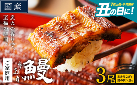 うなぎ ご家庭用 3尾 (刻みうなぎ2袋&鶏の炭火焼1袋付き) 国産 鰻 真空パック おすすめ の蒲焼 [丑の日に!7月上旬〜7月中旬出荷] 有頭 ふるさとのうぜい 鶏炭火焼 訳あり 簡易包装 不揃い ウナギ unagi 蒲焼 秋 冬 旬 配送時期 冷凍