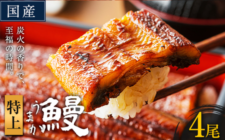 うなぎ 特上サイズ 4尾|うなぎうなぎうなぎうなぎ