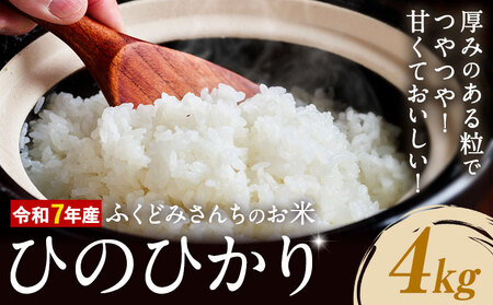 ߘa7NY    ӂǂ݂񂿂̂ Ђ̂Ђ 4kg F{Y Ds30ȓɏoח\(yj)tF{ D R  F{ D D  ͂ qmqJ