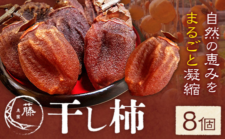 ` 8 ` ʕ t[c  ` D_s12{-1{oׁtF{ D hCt[c Ö  aَq F{Y  XC[c