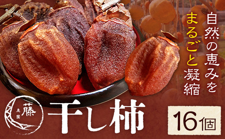 ` 16 ` ʕ t[c  ` D_s12{-1{oׁtF{ D hCt[c Ö  aَq F{Y  XC[c