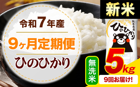 �y9��������ցz�V�� �ߘa7�N�Y ������ �Ђ̂Ђ��� ����� 5kg�s�\�����̗�������o�׊J�n�t�F�{���Y �ӂ邳�Ɣ[�� ���� �Ђ� �� ���� �ӂ邳�Ƃ̂����� �q�m�q�J�� �R�� ����