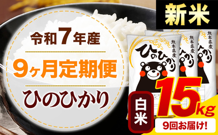 �y9��������ցz�V�� �ߘa7�N�Y ���� �Ђ̂Ђ��� ����� 15kg�s�\�����̗�������o�׊J�n�t�F�{���Y �ӂ邳�Ɣ[�� ���� �Ђ� �� ���� �ӂ邳�Ƃ̂����� �q�m�q�J�� �R�� ����