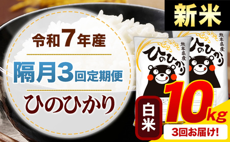 �y�u��3�����ցz�V�� �ߘa7�N�Y ���� �Ђ̂Ђ��� ����� 10kg�s�\�����̗�������o�׊J�n�t�F�{���Y �ӂ邳�Ɣ[�� ���� �Ђ� �� ���� �ӂ邳�Ƃ̂����� �q�m�q�J�� �R�� ����