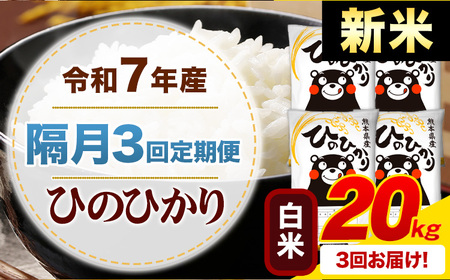 yu3ցzV ߘa7NY  Ђ̂Ђ  20kgs\̗o׊JntF{Y ӂ邳Ɣ[  Ђ   ӂ邳Ƃ̂ qmqJ R 