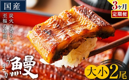 [3ヶ月定期便]うなぎ 大小 2尾 国産 鰻 真空パック おすすめ うなぎの蒲焼 [お申込み翌月から出荷] ふるさとのうぜい 特上 簡易包装 ウナギ unagi 蒲焼 秋 冬 旬 配送時期 冷凍
