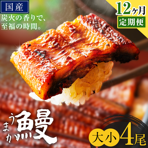 【12ヶ月定期便】うなぎ 大小 4尾  国産 鰻 真空パック おすすめ うなぎの蒲焼 《お申込み翌月から出荷》 ふるさとのうぜい 特上 簡易包装 ウナギ unagi 蒲焼 秋 冬 旬 配送時期 冷凍