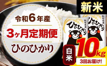 [3ヶ月定期便]令和6年産 新米 白米 ひのひかり 定期便 10kg[申込み翌月から発送]令和6年産 熊本県産 ふるさと納税 精米 ひの 米 こめ ふるさとのうぜい ヒノヒカリ コメ お米 hino