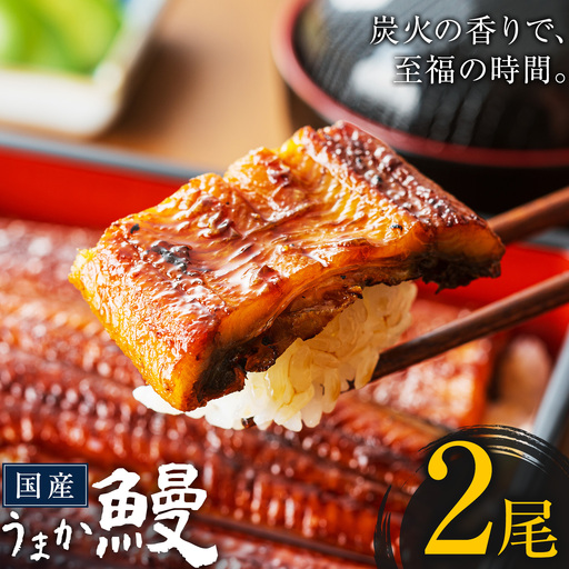 うなぎ ご家庭用 2尾  国産 タレ付 鰻