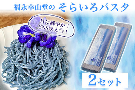御船町 福永幸山堂のそらいろパスタ 2個入り[30日以内に出荷予定(土日祝除く)]熊本県 御船町 福永幸山堂 パスタ 青いパスタ