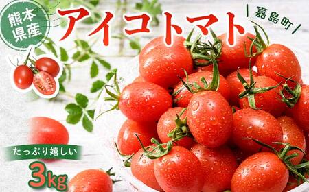 FKK19-750_ 嘉島町産アイコトマト3kg もぎたて 産地直送 産直 有機肥料 甘い フルーティー ミニトマト プチトマト リコピン 新鮮 フレッシュ サラダ 朝食 野菜 食品