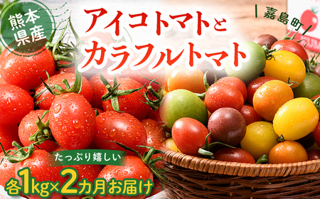FKK19-874_[2カ月定期]アイコトマト・カラフルトマト 各1kg