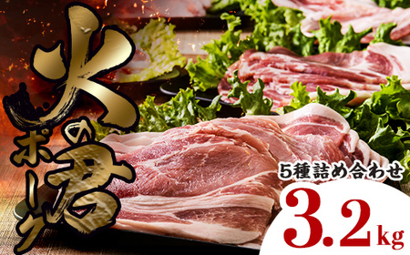 FK7-0021_yʌzF{Y ΂̌N|[N(o^W) 5l 3.2kg ؂ ؃R} [X o  ؓԂ IĂ ؏` ٓ ē XgbN ֗