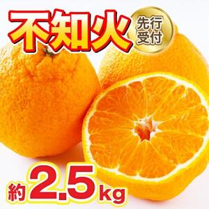 益城町産　不知火　約2.5kg【1450756】