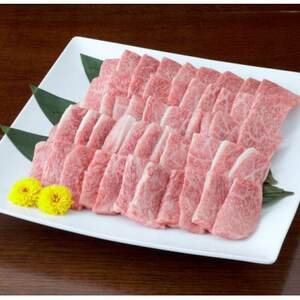 [黒毛和牛]熊本県産 焼き肉用 カルビ 600g(300g×2パック)(益城町)[配送不可地域:離島]