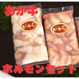 熊本県産 あか牛 牛小腸 ホルモンセット400g(200g×2パック)(益城町)[配送不可地域:離島]