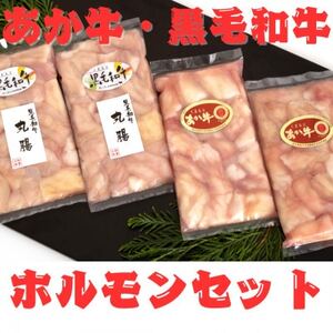 熊本県産 黒毛和牛(丸腸)・あか牛(小腸)各200g×2個 ホルモン 合計800gセット(益城町)[配送不可地域:離島]