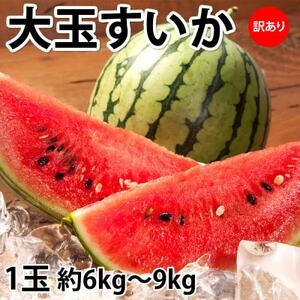 訳あり大玉すいか 1玉(約6kg〜9kg)[2025年5月下旬より順次発送予定](益城町)