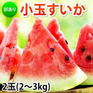 訳あり 小玉すいか 2玉 約2〜3kg[2025年5月下旬〜7月下旬発送予定][Foody's]