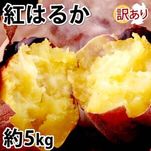󂠂g͂邩 5kg(v钬)y1586575z