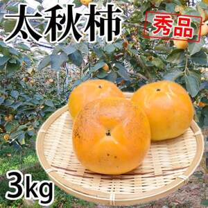 太秋柿 秀品3kg【2025年10月下旬-11月下旬発送予定】(益城町)【1650965】
