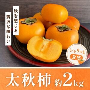 v钬Y H` 2kg(v钬)yzsnFzy1661736z