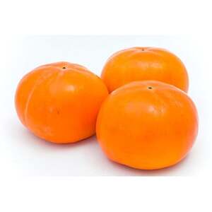 熊本県益城町産 太秋柿 約2kg入り(益城町)【配送不可地域：離島】【1713793】