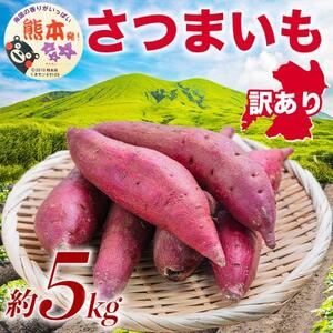 訳あり さつまいも 約5kg(益城町)
