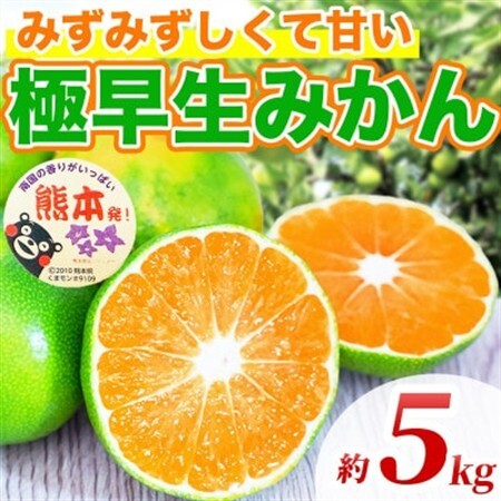 極早生みかん 2S～2L 約5kg(益城町)【1725629】