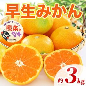 早生みかん 2S～2L 約3kg(益城町)【1725636】