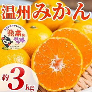 温州みかん 2S～2L 約3kg(益城町)【1726317】